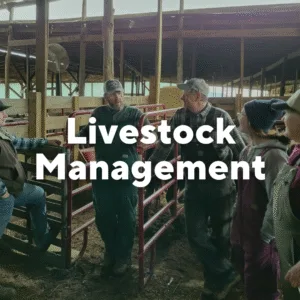 Photo of group of people at stockyards with text overlay, "Livestock Management."